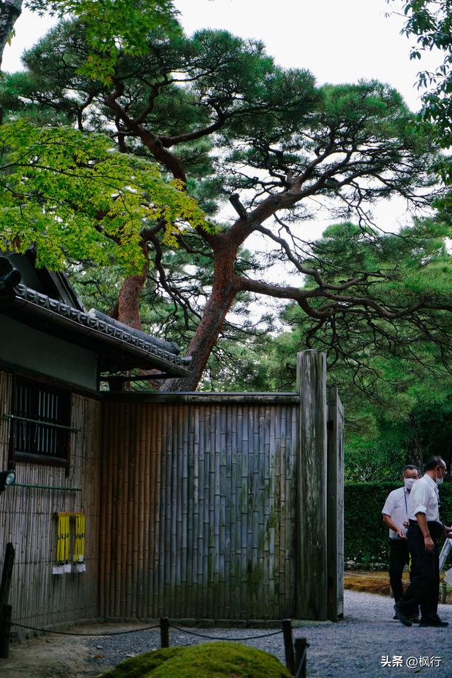 京都这座皇室的离宫，美且朴素的哲学，对得起超难的预约流程