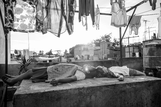 国产电影又凉了……《我不是药神》等3部电影均无缘奥斯卡外语片