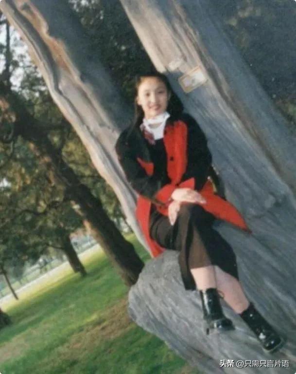 富商溺爱娇妻，婚外情酿巨变，惨案背后真相何在