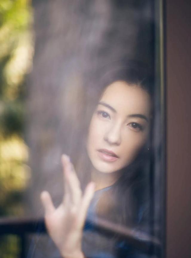 明星壁纸 张柏芝壁纸图片照片合集