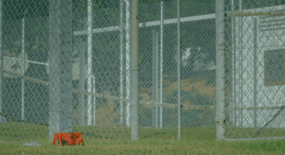 荒野间谍第二季-大迁徙队伍里的间谍红蟹