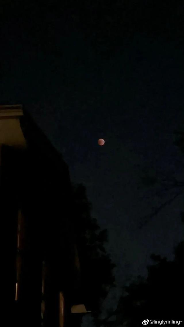 好圆!好大!好美