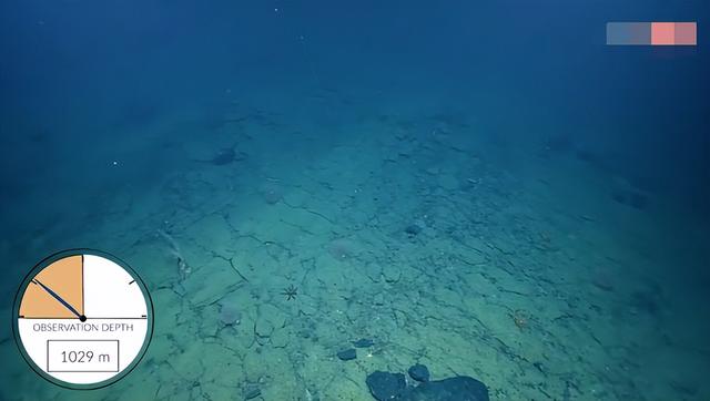 “中国制造”?太平洋中惊现奇异“黄砖路”!究竟是从哪儿来的?