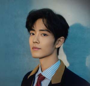 ao3是干嘛的(粉丝战争中，肖战做错了什么？)