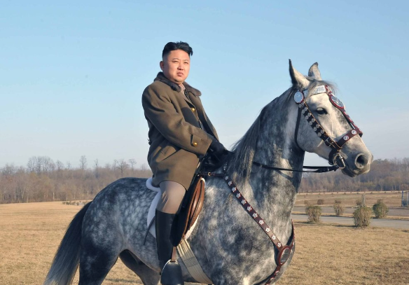 朝鲜“太后”,却是日本制造!金正恩身后的神秘女人:高英姬