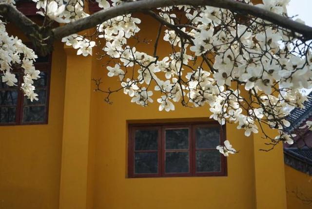 晚潮｜素贞和淑真