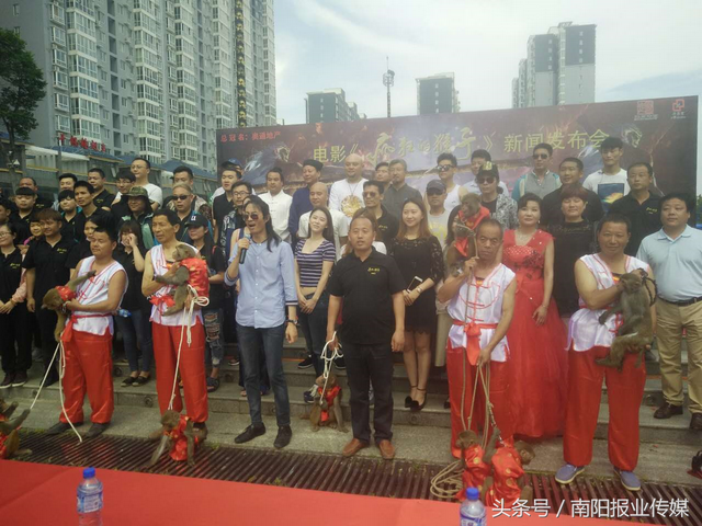 《疯狂的猴子》：独一无二的“新野猴”