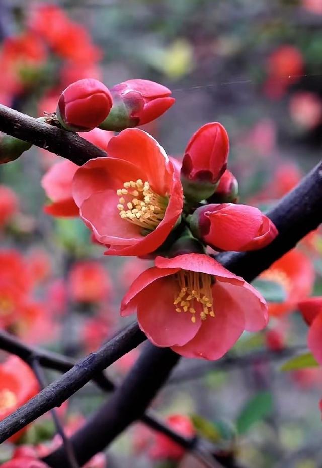 你会收到这个月以来最好的消息