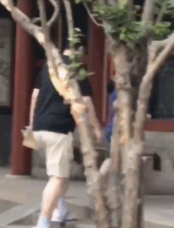 姚明女儿没有170？看站他身边168的范冰冰和172的撒贝宁就知道了