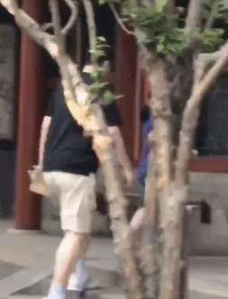 姚明女儿多高(姚明女儿没有170？看站他身边168的范冰冰和172的撒贝宁就知道了)