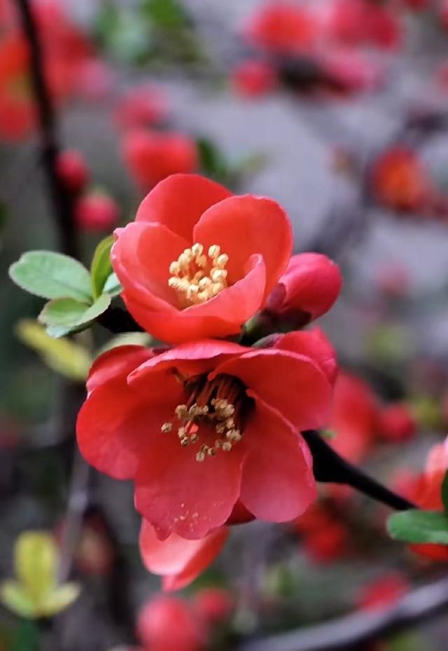 你会收到这个月以来最好的消息