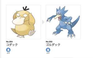 东方四虎(受人追捧的“流量鸭”，不只有可达鸭)