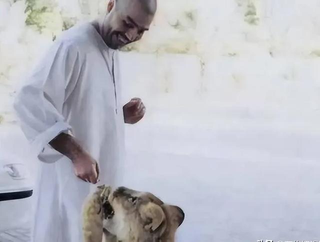 魔鬼的替身:揭密乌代替身的痛苦命运