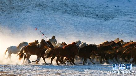 套马的汉子，你威武雄壮！