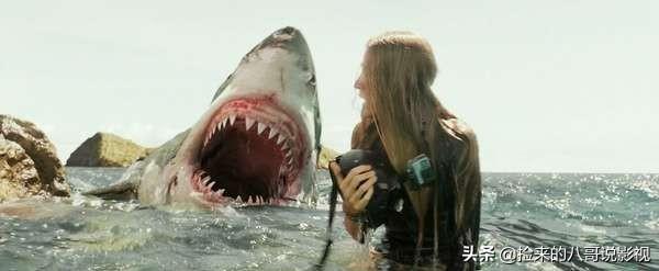 人类对鲨鱼的恐惧，都在这4部电影里了