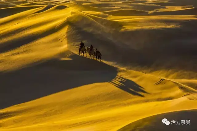 【诗书歌画舞乐影】之奈曼歌曲