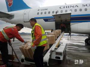 梅露(2025新春年货购销两旺，空运市场迎运输高峰)