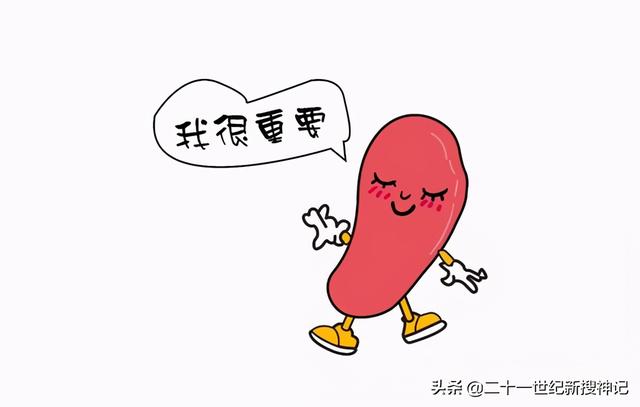 性命之谜（廿四）脾脏：五脏中的小透明，却有大名鼎鼎的神灵代表