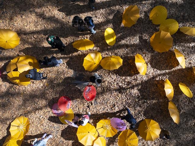 初冬限定！东南大学这堂“伞下非遗课”刷屏……