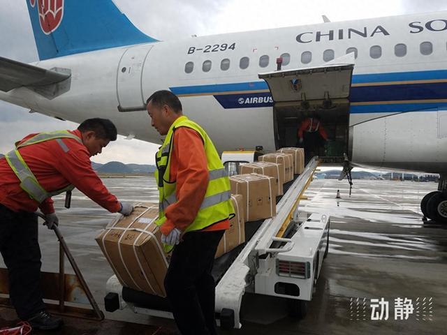 2025新春年货购销两旺，空运市场迎运输高峰