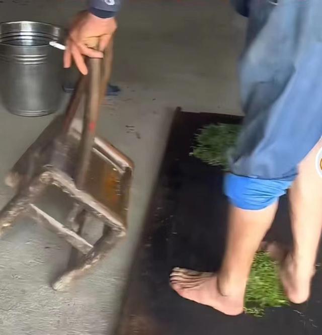 村民赤脚踩茶引发热议  专家：揉捻工艺非常成熟  没必要用脚