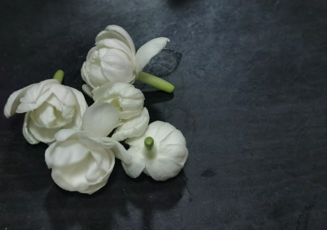 《只得一生》献给萧红，《海上花》写尽柔情，华语音乐的灯塔