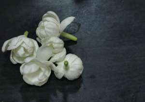 只得一生(《只得一生》献给萧红，《海上花》写尽柔情，华语音乐的灯塔)