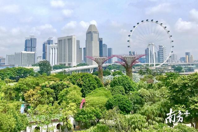 和美侨乡 潮人力量｜新加坡潮汕留学生异国谱写人生华章，“新潮留”是他们共同的名字