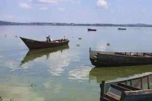 非洲蚊子饼(非洲旅行，目睹“蚊子汉堡”制作过程，游客：美味)