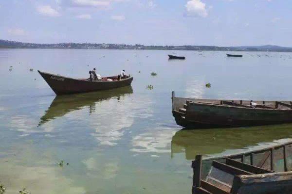 非洲旅行，目睹“蚊子汉堡”制作过程，游客：美味