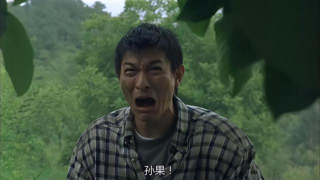 刘德华一战封影帝,杜琪峰集大成之作——《大只佬》深度影评