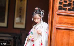 黑衣杀手(小说：大臣经过闹市，黑衣杀手拔刀围攻，却被他手下的丫鬟秒杀)