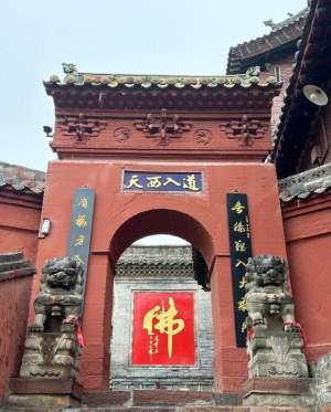 宗巧珍(内地红极一时的女打星现状，“小媳妇”远走国外，丁岚低调离婚)