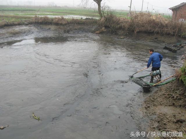 学会这四招，冬季肥水塘轻松应对！