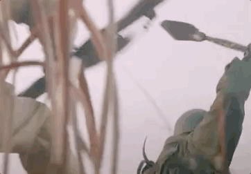 这部抗美援朝题材电视剧，不该被“冷落”