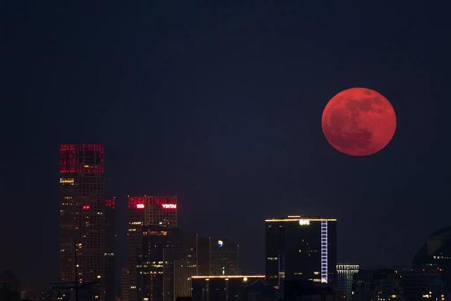 好圆!好大!好美