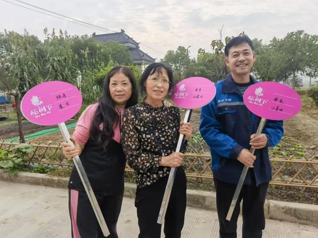 红柘、金稻、粉蔬，奉贤这个村的“庭院经济”有看头！