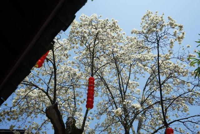 晚潮｜素贞和淑真