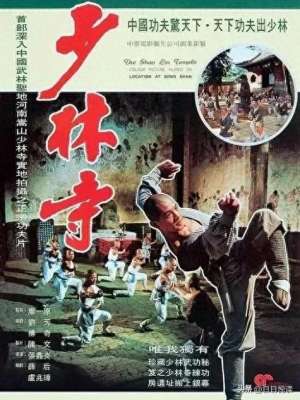 《少林寺》(《少林寺》，中国大陆最经典的武打片)