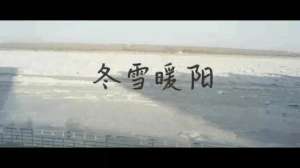 金美丽(金美丽，谁给了你耍赖的勇气)