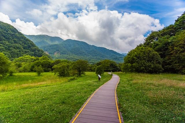 如果一个人独处觉得会很舒服，那说明你就是一个非常强大的人