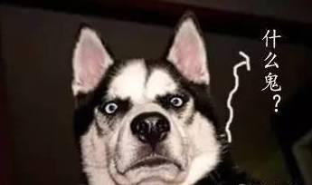 看天下周银川最高温20°C！妹子，你距离A4腰有多远？