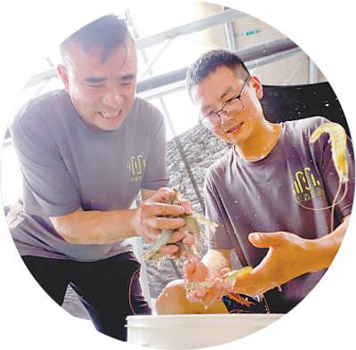 盐碱地里养海鲜（人民眼·盐碱地综合利用）