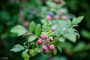 阡陌(优秀作文｜阡陌)