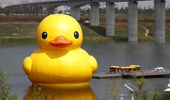 受人追捧的“流量鸭”，不只有可达鸭