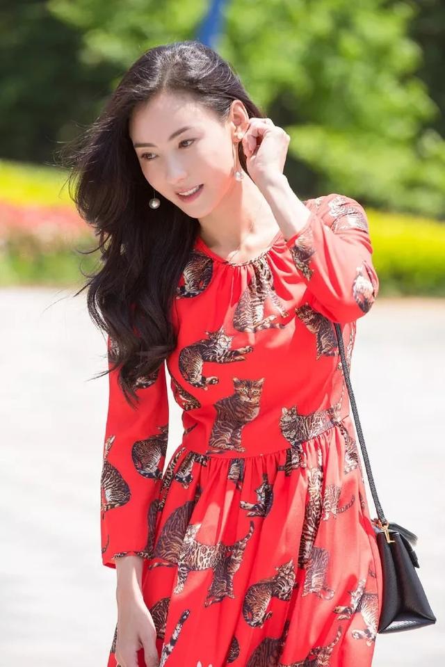 明星壁纸 张柏芝壁纸图片照片合集