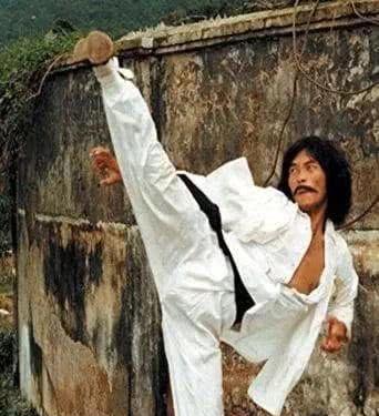 黄正利(黄正利：影坛“第一腿王”，跆拳道黑带九段，一脚踢死挑战者)