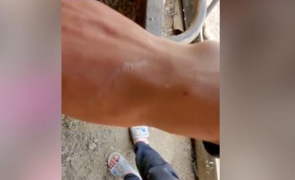 中国小伙和母鸡“斗智斗勇”让外国网友笑出眼泪来了