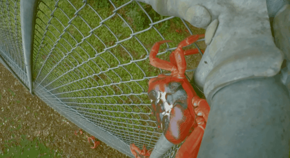 荒野间谍第二季-大迁徙队伍里的间谍红蟹