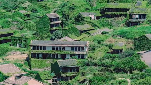 浙江舟山发现一个无人村，3000村民全部搬离，如今令人向往